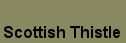Mastic: Scottish Thistle